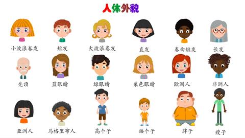 人体外貌