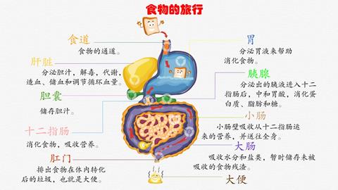 食物的旅行