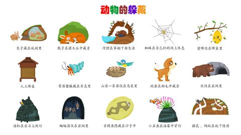 动物的躲藏