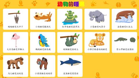 动物的睡眠