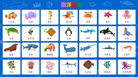 海洋动物