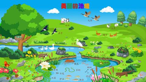 美丽的池塘