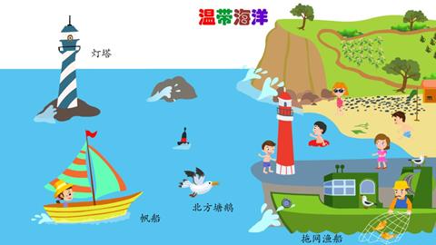 温带海洋