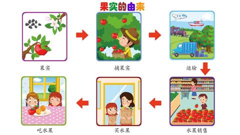 果实的由来