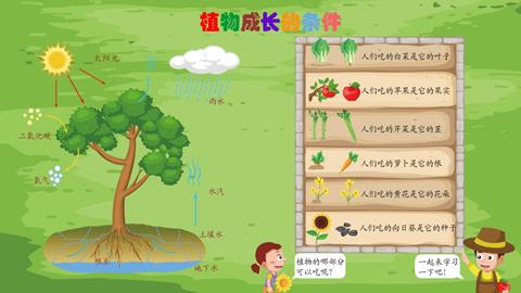 植物成长的条件