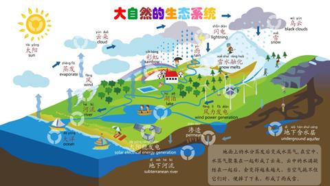 大自然的生态系统