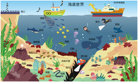 海洋动物2.png