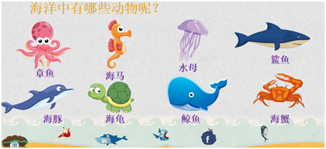 海洋动物1.png